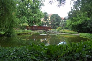Pond in the Botanical Gardens sml
