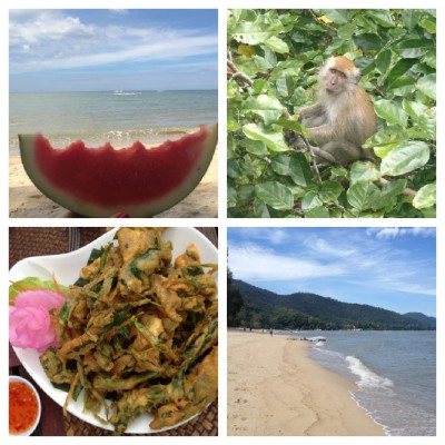 How To Make The Perfect Sales Pitch (even from a beach)