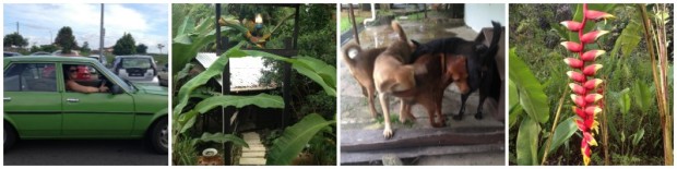 The Kebun Homestay in Sarawak