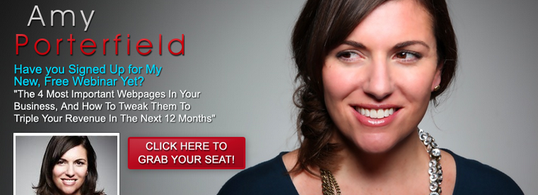 Amy Porterfield example