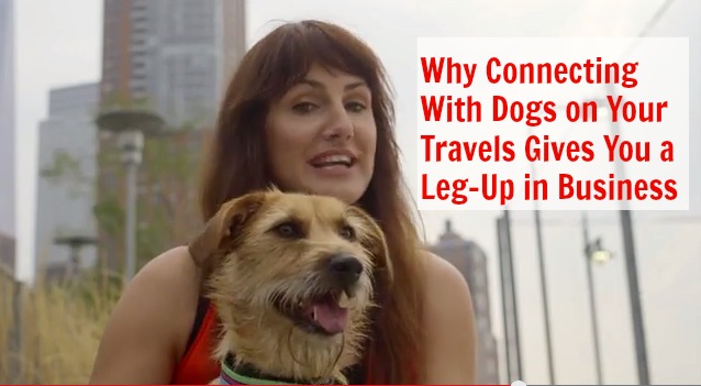 Why Connecting With Dogs on Your Travels Gives You a Leg-Up in Business