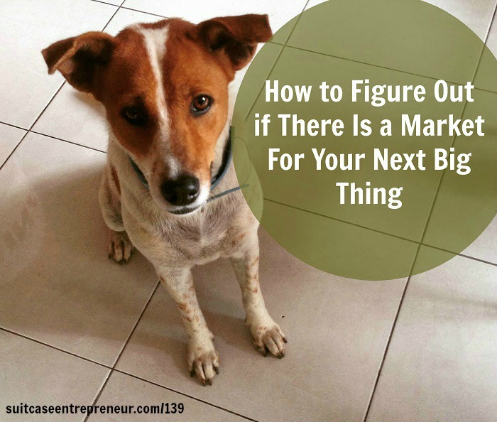 [TSE 139] How to Figure Out if There Is a Market For Your Next Big Thing